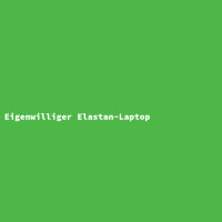 Eigenwilliger Elastan-Laptop