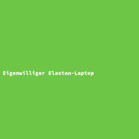 Eigenwilliger Elastan-Laptop